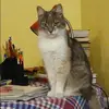 Отзыв от Анна Никитина